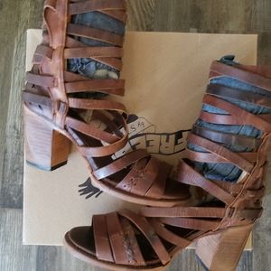 Freebird by Steven Makala